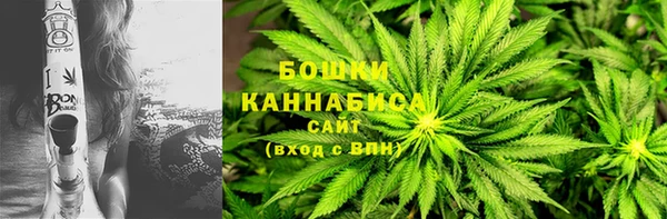 ГАЛЛЮЦИНОГЕННЫЕ ГРИБЫ Волосово