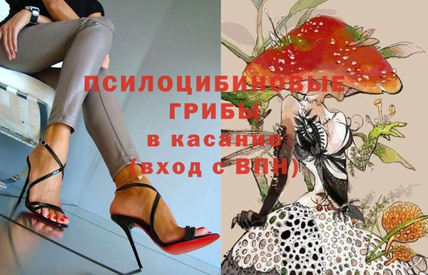 jwh Верея