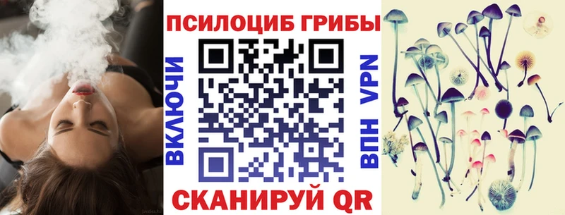 сайты даркнета состав  Гатчина  Псилоцибиновые грибы GOLDEN TEACHER  дарнет шоп 