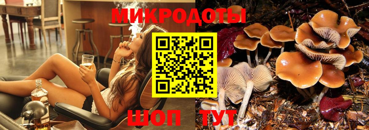 Галлюциногенные грибы мухоморы  Вход с VPN  Гатчина 