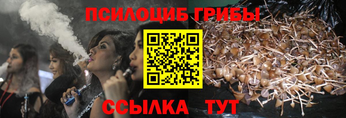 Псилоцибиновые грибы прущие грибы Гатчина